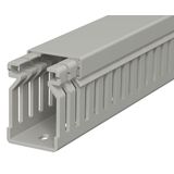 LK4 40025 Slotted cable trunking system  40x25x2000