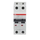 ST202M-K35 Miniature Circuit Breaker - 2P - K - 35 A