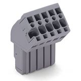 1-conductor female connector, angled CAGE CLAMP® 4 mm² gray