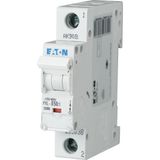 PXL-C50/1 Eaton Moeller series xPole - PXL MCB