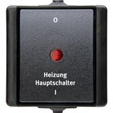 proAQA - Heizungshauptschalter, Farbe: schwarz