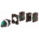 Illuminated selector switch actuator, RMQ-Titan, maintained, 3 positions, 2 NO, green, Blister pack for hanging