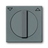 1740-803 CoverPlates (partly incl. Insert) Busch-axcent®, solo® grey metallic