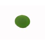 Button plate, flat green, blank