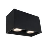 2/L Ceiling Light Black Dice