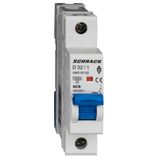 Miniature Circuit Breaker (MCB) AMPARO 10kA, D 32A, 1-pole