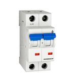 OV-Miniature Circuit Breaker, 50A, 15=800A, 1+N