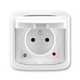 5598A-2999B Socket outlet with earthing pin, shuttered, with hinged lid, IP 44, with surge protection