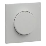 10AX Urbano two-way switch gray finish