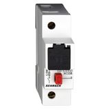 ARROW ON, D0-load fuse breaker 1-pole