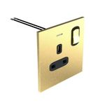 Art d'Arnould - 1 gang BS socket 13A-250V double pole switch with power indicator Epure - Brushed Gold