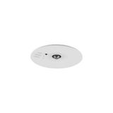 Signal Pro Emergency Downlight Non-Maintained