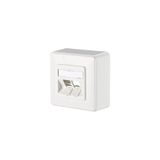 Modul wall outlet surface mounted 2 port unequipped pure white