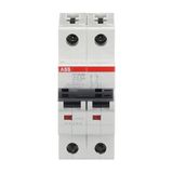 ST202M-Z0.5 Miniature Circuit Breaker - 2P - Z - 0.5 A