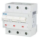 Miniature circuit breaker (MCB), 50A, 3p, D-Char, AC