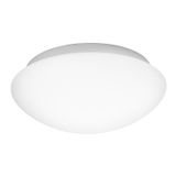 White Opal Glass & Metal LED E27 2x12 Watt 230 Volt IP44 Bulb Excluded D: 38 H: 13 cm