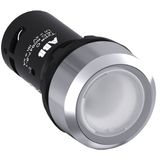 Illuminated Pushbutton CP1-33C-10