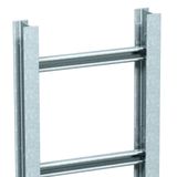 SLS80C40F 50 FT Vertical ladder rung distance 300 mm 500x3000mm