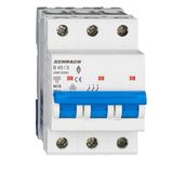 Miniature Circuit Breaker (MCB) AMPARO 6kA, B 40A, 3-pole