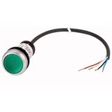 Illuminated pushbutton actuator, Flat, momentary, 1 N/O, Cable (black) with non-terminated end, 4 pole, 3.5 m, LED green, green, Blank, 24 V AC/DC, Be