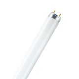 Fluorescent Bulb 58W/865 T8 MIX ELG