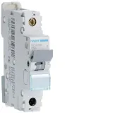 Circuit Breaker 1P 63A B 6/10kA 1M