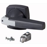 Toggle, 10mm, door installation, gray, padlock