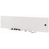 Section wide door, closed, HxW=250x1000mm, IP55, grey