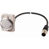 Indicator light, Flat, Cable (black) with M12A plug, 4 pole, 1 m, Lens white, LED white, 24 V AC/DC