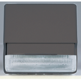 STAIR RISER LAMP WITH LED LIGHT - 12/230V ac - WHITE - 2 MODULES - SYSTEM BLACK