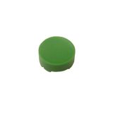 Button plate, raised green, blank