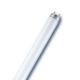 T8 36W/830 G13, Warmwhite 3000K, Fluorescent Lamp
