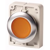 Illuminated pushbutton actuator, RMQ-Titan, flat, maintained, orange, blank, Front ring stainless steel
