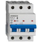 Miniature Circuit Breaker (MCB) AMPARO 10kA, B 40A, 3-pole