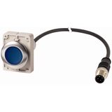 Illuminated pushbutton actuator, Flat, maintained, 1 N/O, Cable (black) with M12A plug, 4 pole, 1 m, LED Blue, Blue, Blank, 24 V AC/DC, Metal bezel