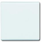 2106-32 CoverPlates (partly incl. Insert) carat® White