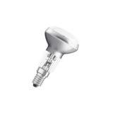 #OSRAM bulb HALOGEN CLASSIC 64541 R50 20W 230V E14