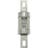 Fuse-link, low voltage, 100 A, AC 600 V, DC 250 V, HRCII-MISC, 21 x 127 mm, gL/gG, CSA