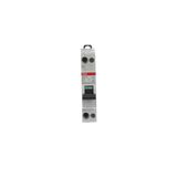 SN201 L-C1-L Miniature circuit breaker - 1+NP - C - 1 A