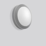 Rounded Midi, 12 W, 650 lm, 840, silver, on/off Ceiling and wall lumin