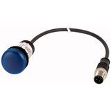 Indicator light, Flat, Cable (black) with M12A plug, 4 pole, 1 m, Lens Blue, LED Blue, 24 V AC/DC