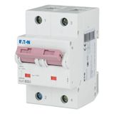 Miniature circuit breaker (MCB), 32A, 2p, B-Char, AC