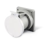 SOCKET OUTLET 2P+E IP44 63A 8h >250V