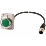 Indicator light, Flat, Cable (black) with M12A plug, 4 pole, 1 m, Lens green, LED green, 24 V AC/DC