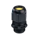 EXM16G ATEX Plastic compression gland