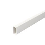 WDK10020RW Wall trunking system with base perforation 10x20x2000