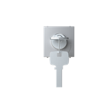 N2253.2 PL Key pushbutton Silver - Zenit