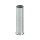 Ferrule