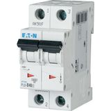 Miniature circuit breaker (MCB), 40 A, 2p, characteristic: D