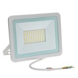 NOCTIS LUX 2 SMD 230V 100W IP65 NW white